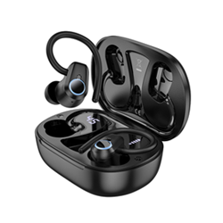 Hoco EQ8 In Ear True Wireless BT Earbuds